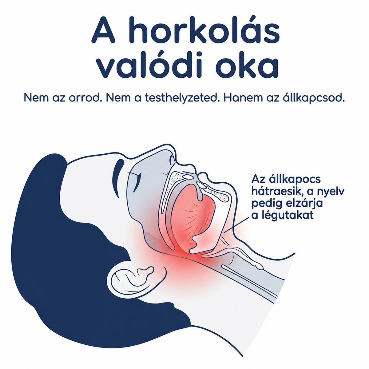 VitaNocta